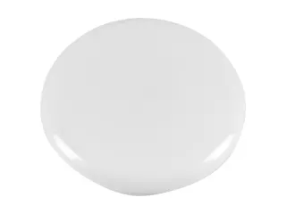 Magneet Westcott assorti kleur pak à 12st. Ø 20x8mm. assorti kleuren - 6