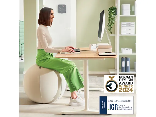 Leitz Ergo actieve zitbal anti-rol met stop-functie 75cm lichtgrijs