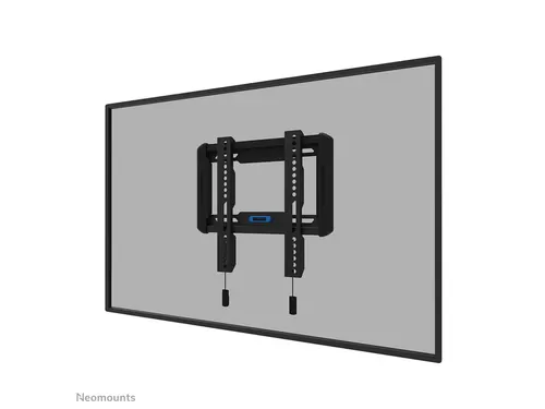 TV wandsteun Neomounts 24-55 inch
