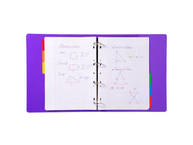 Tabblad Karton 160 Gram A4 index 6 tabs wit