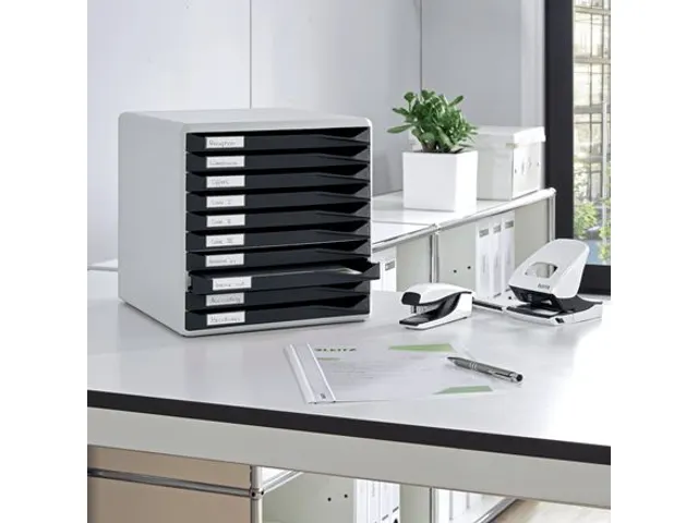 Ladenbox Leitz 5281 10 Laden Grijs