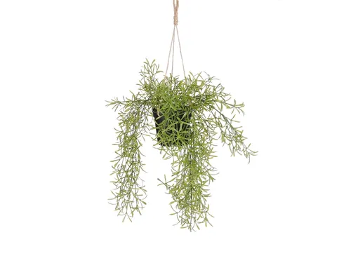 Kunstplant Mica Rhipsalis hangend in pot groen 40x20cm