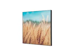 Wanddecoratie Textiel Set 40x40mm Graanveld