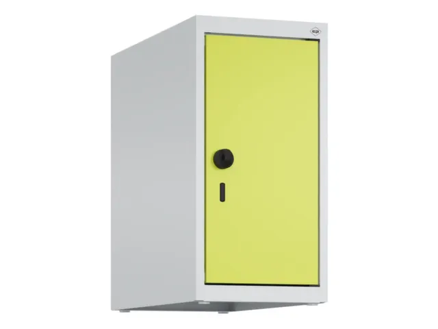 opzetkast,v. locker,1vak.,vak B 250mm,HxBxD 500x250x500mm,vleugeldeur