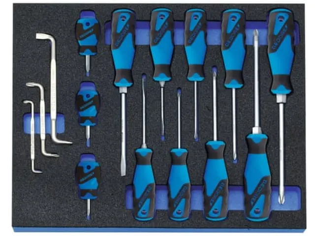 GEDORE 2005 CT2-2160 Schroevendraaierset in controlegereedschapmodule