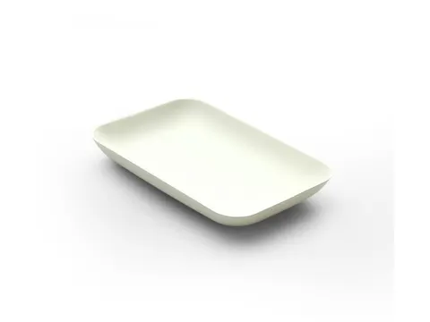 Sier Bagastro Bord Rechthoekig 120x80mm 12x40 Stuks