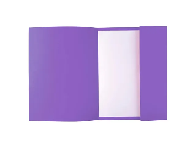 50 dossiermappen met 1 klep ROCK''S 220 24x32cm