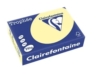 Trophée Pastel gekleurd papier A4 210 gram 250vel Kanariegeel - 2