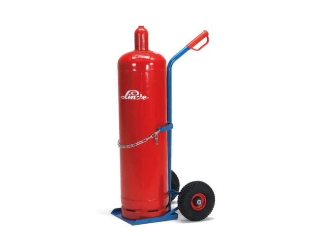 Diable Pour Bouteilles Force 100Kg Bouteille 1X33L Ø 318Mm Acier