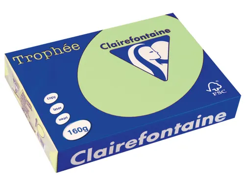 Trophée Pastel gekleurd papier A4 160 gram 250vel Groen
