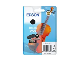 Inktcartridge Epson 250 T16N14 zwart - 1