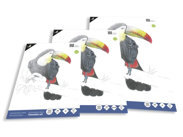 Tekenblok Kangaro A3, 200 grams, 20 vel, wit, fijne korrel, kopgelijmd