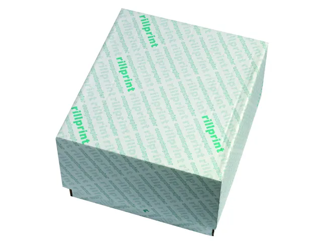 Computerpapier 86625 1-voud 240x12 Blanco Lp