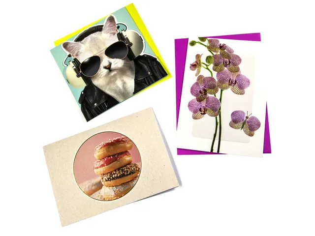 Wenskaart Paperclip zonder tekst navulset à 12 stuks