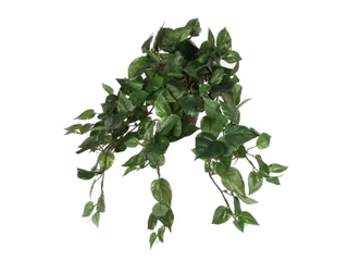 Kunstplant Mica Scindapsus hangend groen 45x25cm - 1