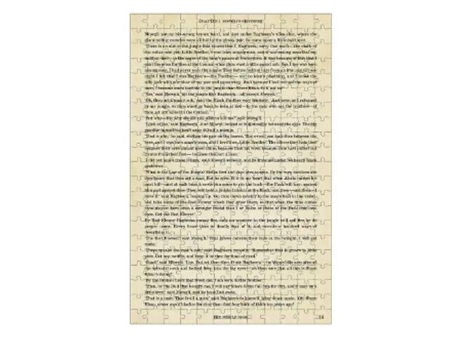 Puzzel The Jungle Book Double sided 252-delig