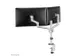 Monitorarm Neomounts DS60-425WH2 wit