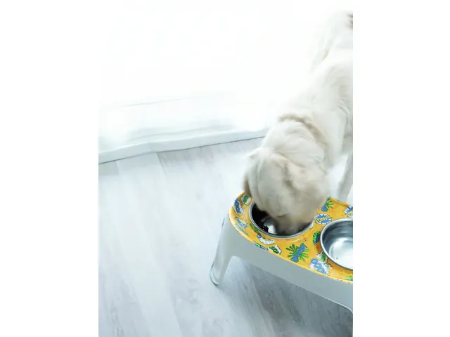 Vernis Décopatch Voedselveilig 180ml transparant