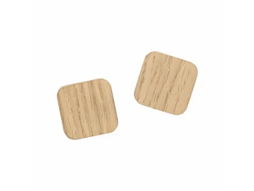 Magneten Naga 25x25mm vierkanteik set a 2st. super sterk