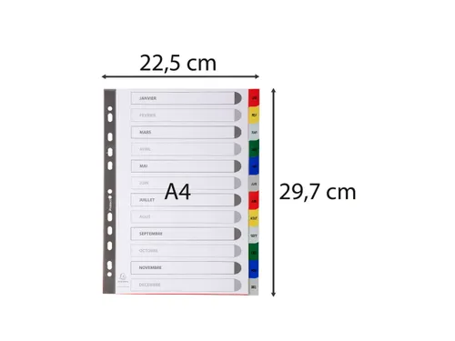 Bedrukte Tabbladen A4 12-delig Jan-dec 11-gaats Frans Assorti