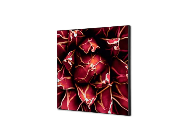Wanddecoratie Textiel Set 40x40cm Cactus Rood
