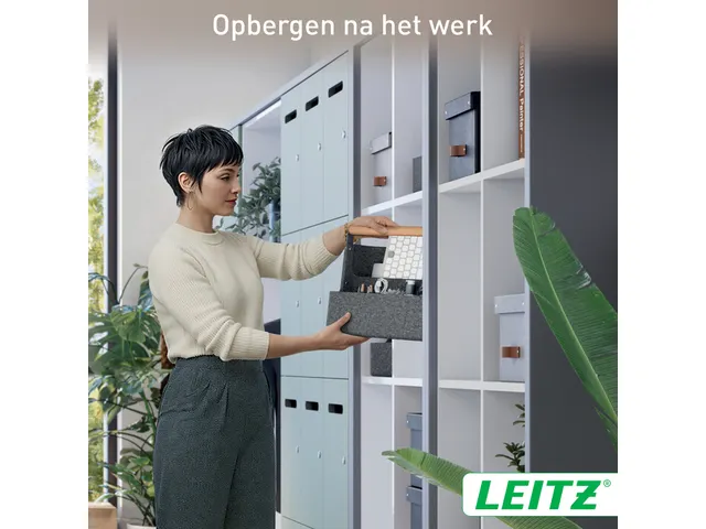 Leitz hangende draagbare bureau organizer met handvat donkergrijs