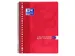 Collegeblok Oxford School Scribzee A4 23-Gaats Ruit 10Mm 80Vel Assorti