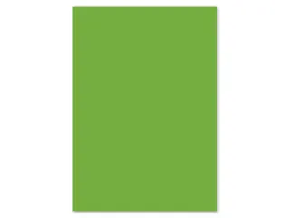 Papier Kangaro A4 160grs helgroen pak 50 vel - 3
