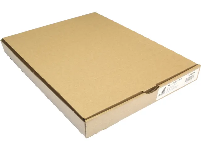 Protège-document Modèle L Kangaro A4 90mµ Transparent 100st.