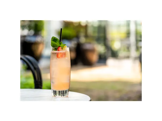 Libbey Endessa Tumbler 29cl, doos 12 stuks