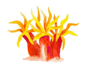 Aquarelpotlood Faber-Castell kinder etui 36 stuks met slijper en pense - 7