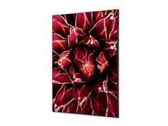 Wanddecoratie Textiel Set A1 Cactus Rood