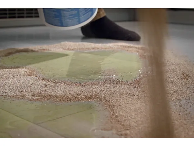 Easy Absorb Absorptiekorrels Fijn 1,5 liter