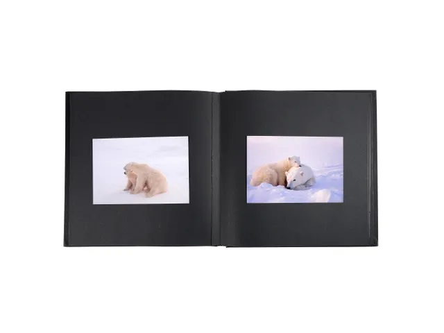 - Couleurs assorties