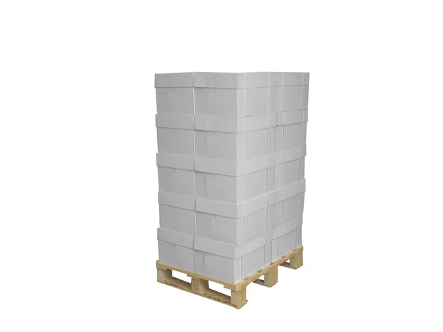 Kopieerpapier Canon White label Copy A4 80gr pak 500vel pallet a 200 p