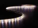 OUTLET KIT Met LED-Strip, Controller En Voeding - 300 LEDs - 5m - 12 V