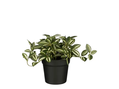 Kunstplant Mica Tradescantia in pot groen 16x16cm