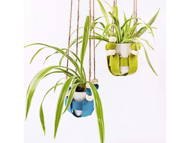 Klei Fimo soft colour pak à 12 basis kleuren