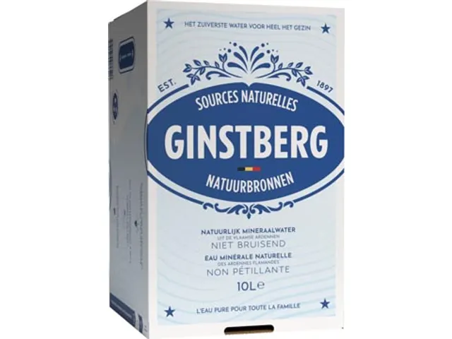 Ginstberg Plat Water Bag in Box 10 Liter