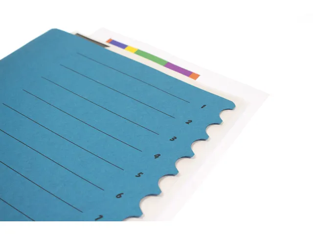 Sorteermap Kangaro 12 tabs