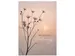 Wenskaart Hallmark condoleance bloemen pak à 6 stuks