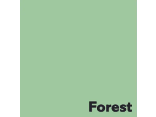 Offset papier Image Coloraction forest/middelgroen 80g 450x640mm FSC