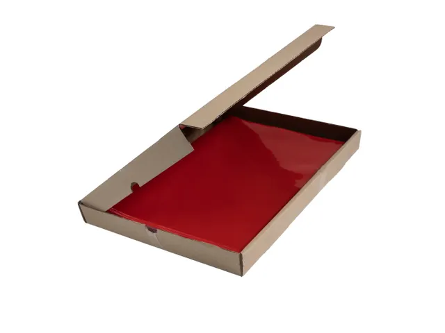 100 L-Mappen A4 Gladde Pvc Rood Sterke Kwaliteit 0.13mm