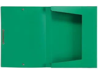 Elastobox Groen 25x33cm 30mm PP - 1