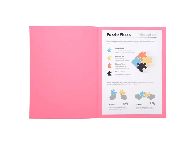 100 Dossiermappen Super 250 24x32cm Assorti
