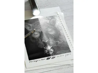Grafietpotlood Faber-Castell Pitt Mat set 3 potl.10B,12B,14B, 1 gum, 1 - 3