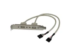 2-poort USB A Vrouwelijke Adapter Slotplaatje