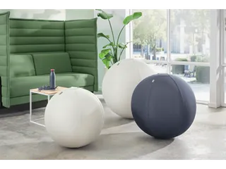 Leitz Ergo Actieve Zitbal anti-rol 65cm Donkergrijs - 9
