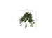 Kunstplant Mica Scindapsus hangend groen 45x25cm