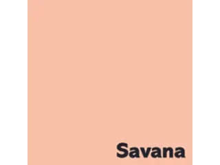 Offset papier Image Coloraction savana/zalm 80g 450x640mm FSC - 1